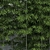 Versatile Bamboo Scatter for Stunning Natural Decor 3D model small image 2
