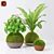 Zen Garden Kokedama Set 3D model small image 1