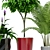 Elegant Diamond Delta Planter 3D model small image 2