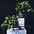  Exquisite Bonsai Tree - Realistic 3D Model 3D model small image 1