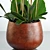 Exquisite Orchid 7: Stunning Flower, 3D Max and FBX Files 3D model small image 2