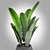 Tropical Vibes: Indoor Banana Tree! 3D model small image 3