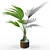 Tropical Palm Tree 3D Model 3D model small image 2