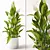 Elegant Spathiphyllum Plant Model 3D model small image 1