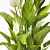 Elegant Spathiphyllum Plant Model 3D model small image 2