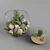 EcoSphere Glass Terrarium 3D model small image 1