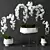 Elegant Phalaenopsis Orchid Set 3D model small image 1