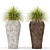 Title: Potted Flora - Urban Greenery 3D model small image 1