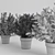 Vibrant Plant Collection 3D model small image 3