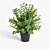 Vibrant Plant Collection 3D model small image 6