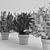 Vibrant Plant Collection 3D model small image 7