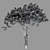 Elegant Magnolia Tree Model 3D model small image 3