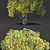 Harvest Maple Wood 3D Model 3D model small image 2