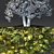 Harvest Maple Wood 3D Model 3D model small image 3