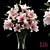 LILY 2 - Versatile 3D Model 3D model small image 1