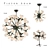 Organic Atomic Lighting Collection 3D model small image 2