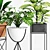 Modern Planters & Lush Greenery 3D model small image 2