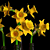 Elegant Narcissus Flower Sculpture 3D model small image 2