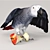 Talented Talking Parrot: Jaco 3D model small image 2