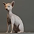 Sphynx: The Hairless Feline 3D model small image 2