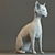 Sphynx: The Hairless Feline 3D model small image 3