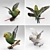 Geometric Skateboarding Parrot 3D model small image 3