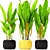 Tropical Bliss: Heliconia Collection 3D model small image 1