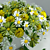Refreshing Rain Garden Décor 3D model small image 3