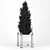 Thuja 3D Model with Textures 3D model small image 2
