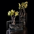Croton Trees: Vibrant Leaf Colors 3D model small image 1