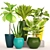 Indoor Potted Plant Collection 3D model small image 1