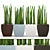 Stunning Sansevieria: A Pot Full 3D model small image 1