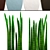 Stunning Sansevieria: A Pot Full 3D model small image 2