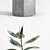 Variegated Ficus Elastica in Various Planters 3D model small image 2