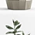 Variegated Ficus Elastica in Various Planters 3D model small image 3