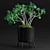 Case Study Planter - Jade Plant 3D model small image 1