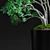 Case Study Planter - Jade Plant 3D model small image 3