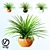 Realistic Home Plant in Multicolored Pots 3D model small image 1