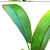 Exotic Madagascar Ravenala - Rare Beauty 3D model small image 2