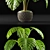 Tropical Delight: Monstera Leaf 3D model small image 2