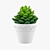 Miniature Succulent Plants Set 3D model small image 2