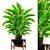 Elegant Howea Forsteriana Palm 3D model small image 1