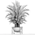 Elegant Howea Forsteriana Palm 3D model small image 3