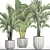 Tropical Plant Collection: Alocasia, Howea Forsteriana 3D model small image 3