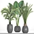 Tropical Plant Collection: Date Palm, Hovea, and Ravenala 3D model small image 3