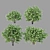 Optimized Philadelphus Variants: Perfect for Scattering 3D model small image 3