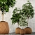 Variety Greenery Set 62 3D model small image 1