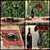 Romantic Outdoor Dining Table Set 3D model small image 3