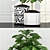 Green Oasis: 63 Unique Plants 3D model small image 2