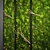 Nature's Oasis: Panel Moss Wall 3D model small image 5